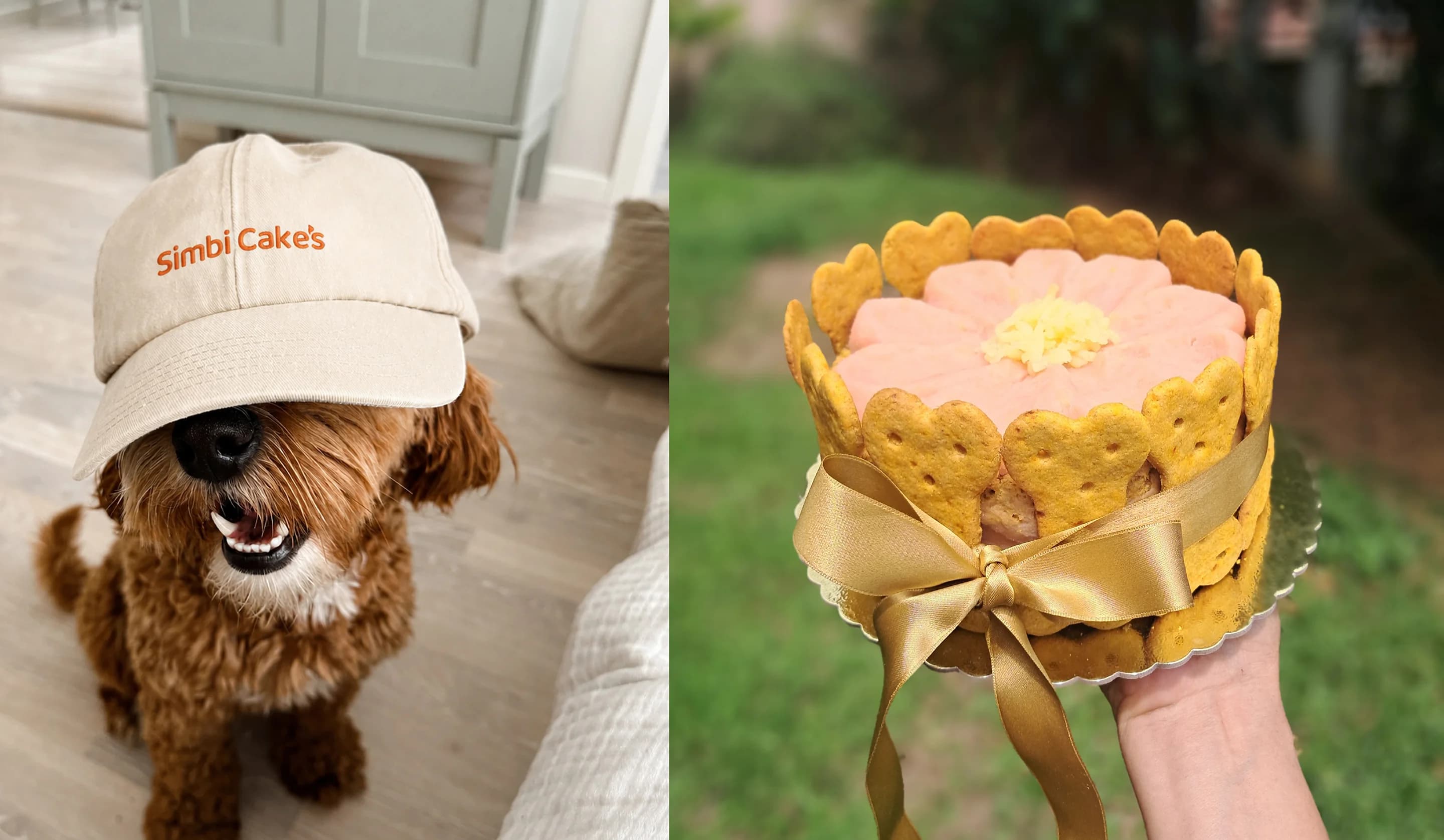Perro con gorra de Simbi Cakes junto a una torta decorada para mascotas