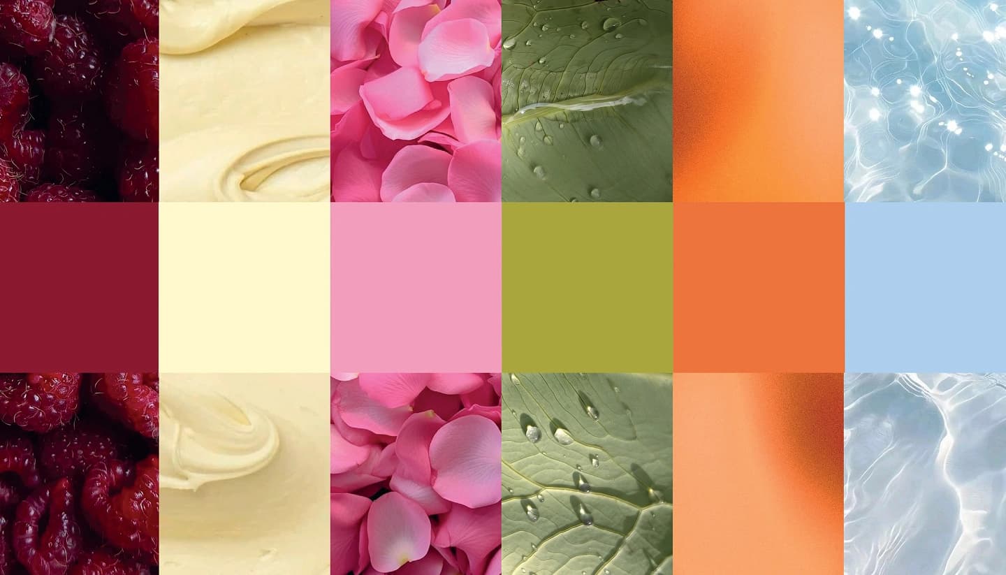 Paleta visual de Veritomom inspirada en frutas, crema, flores, hojas y agua